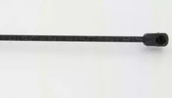 triscan-871038234