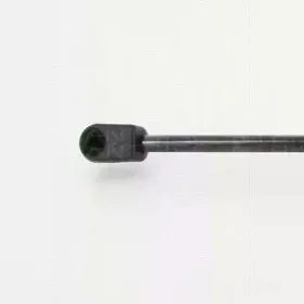 triscan-871038235