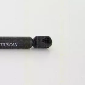triscan-871038235