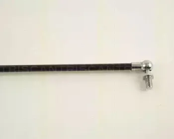 triscan-871040203