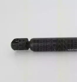 triscan-871040236