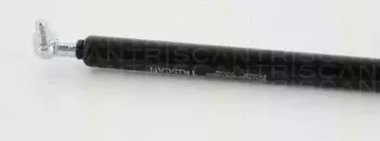 triscan-871040237