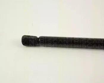 triscan-871042201