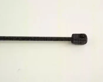 triscan-871042202