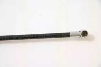triscan-871042221