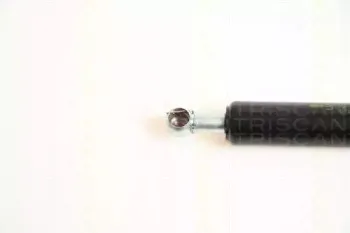 triscan-871042226
