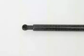 triscan-871043100