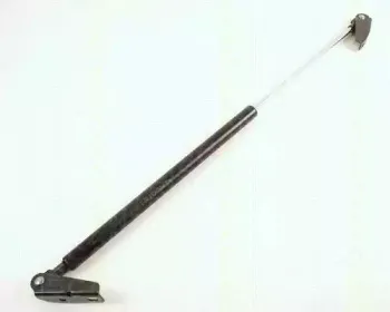 triscan-871043202