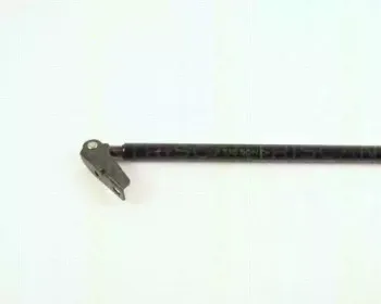 triscan-871043202