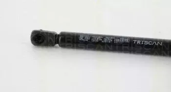 triscan-871043226