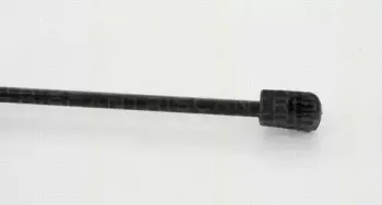 triscan-871043226