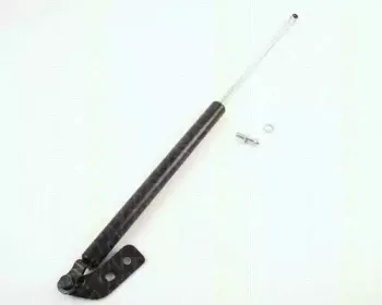 triscan-871050211