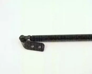 triscan-871050211