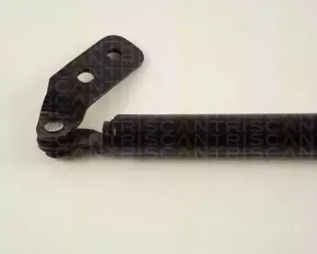 triscan-871050221