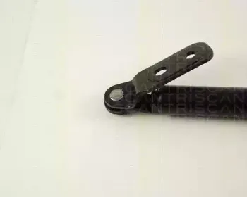 triscan-871050222