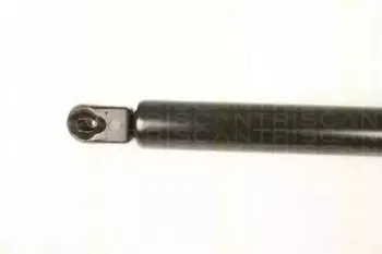 triscan-871050247