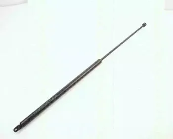 triscan-87106503