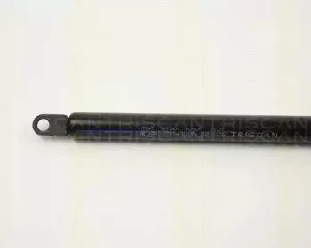 triscan-87106503