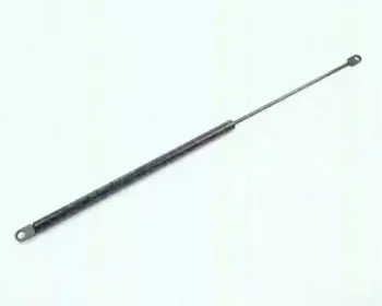 triscan-87106504
