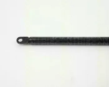 triscan-87106504