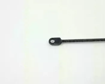 triscan-87106504