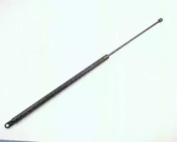 triscan-87106506