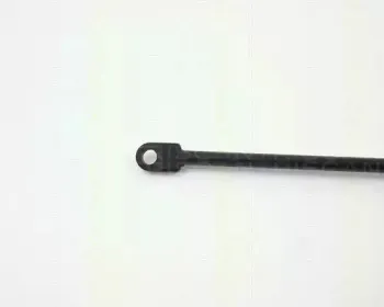 triscan-87106506