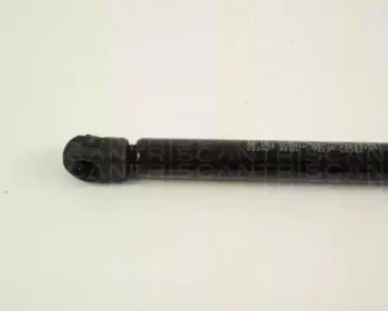 triscan-871065202