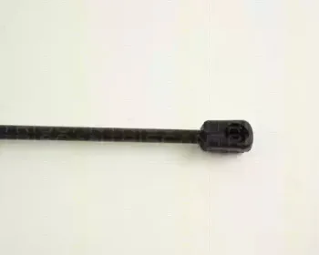 triscan-871065202