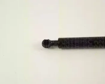 triscan-871065203