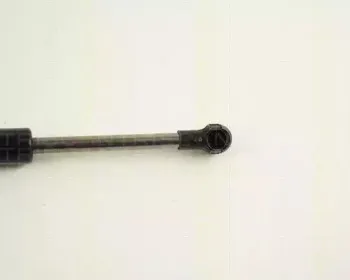 triscan-871065203