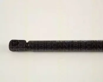 triscan-871065204