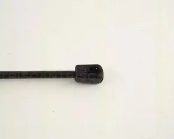 triscan-871065204
