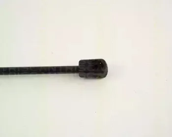 triscan-871067204