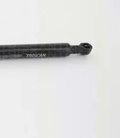 triscan-871069202