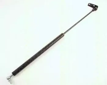 triscan-871069203