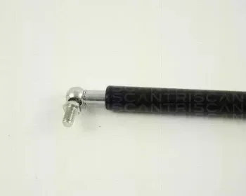 triscan-871069203