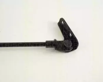 triscan-871069203