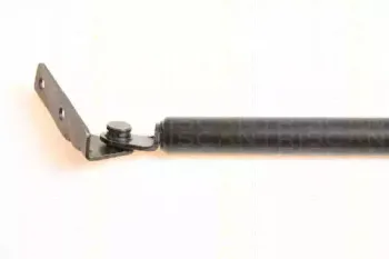 triscan-871069208
