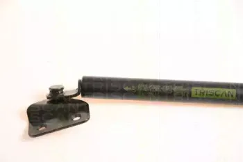 triscan-871069211