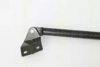 triscan-871069213