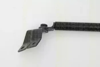 triscan-871069214