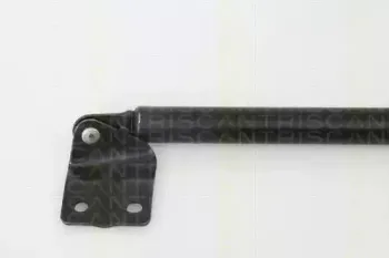 triscan-871069216