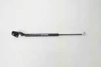 triscan-871069217