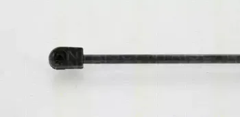 triscan-871069225