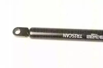 triscan-87109005