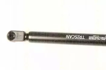 triscan-87109006