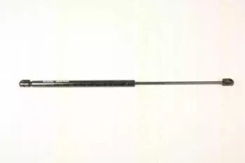 triscan-87109019