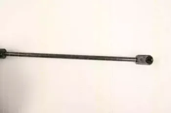 triscan-87109019
