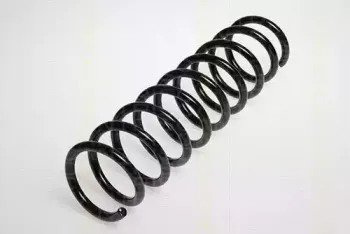 triscan-87501134